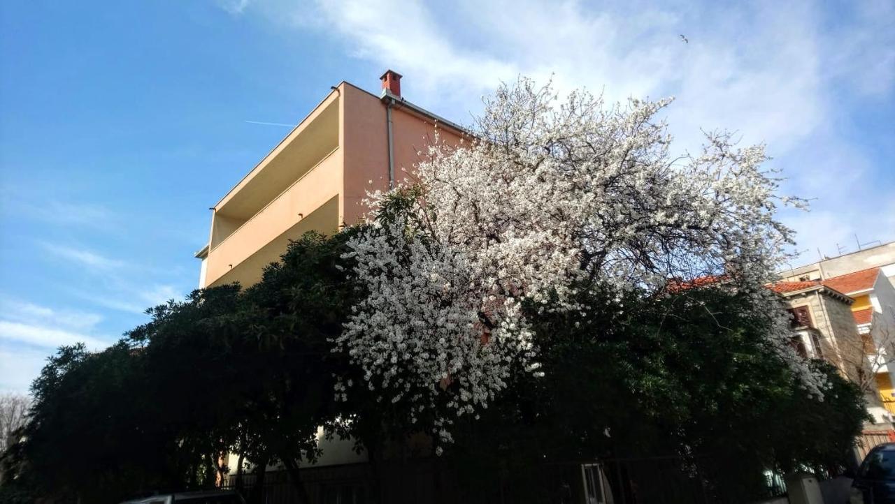 Split Symphony Garden: Modern, New Apartment Exteriér fotografie